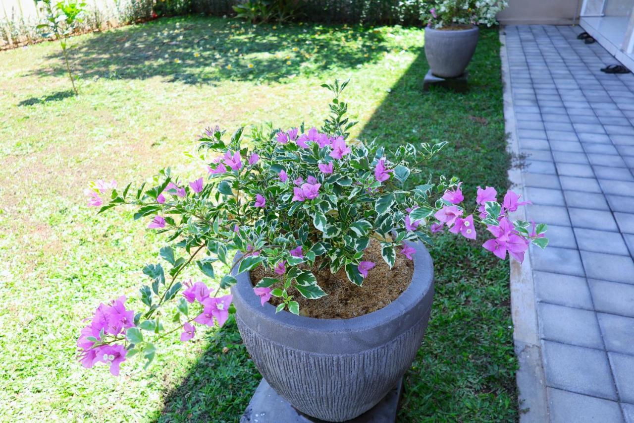 Pondok Dete Guesthouse Sanur  Luaran gambar